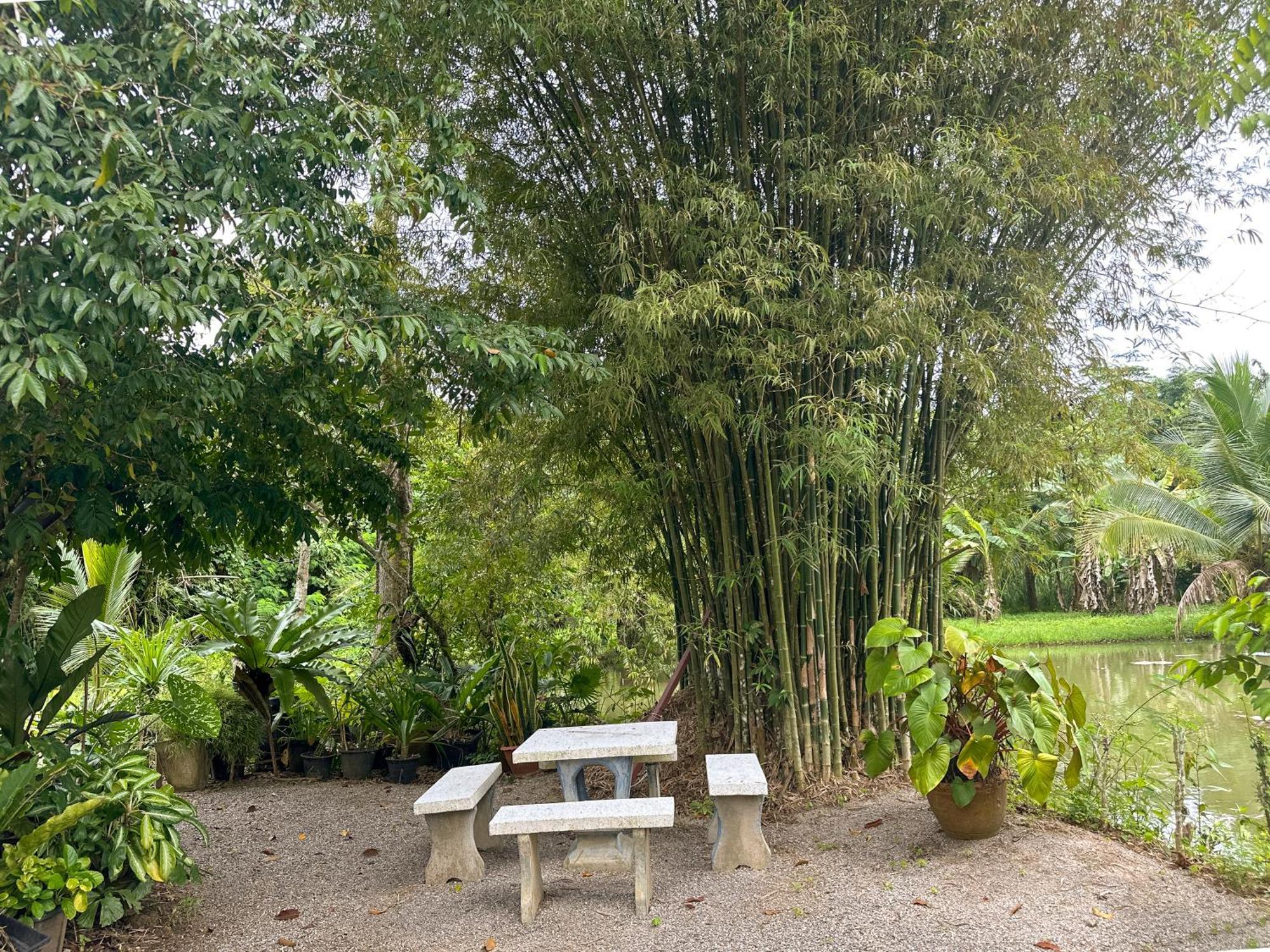 Baan Panmala Guesthouse - Ao Luek, Krabi Zewnętrze zdjęcie